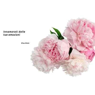 Elisa Vitolo Armocromia e Consulenza d'immagine